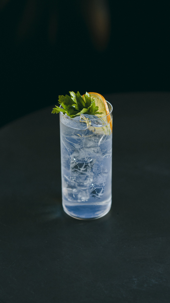 Gin And Tonic GS.jpg