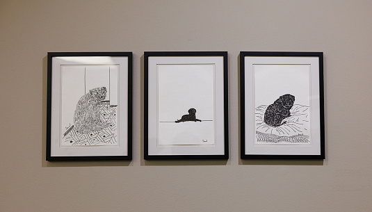 Минимализм и цвет